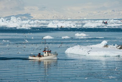 Grenlandia zawiesza porozumienie połowowe z Rosją, Wyspy Owcze - przedłu...