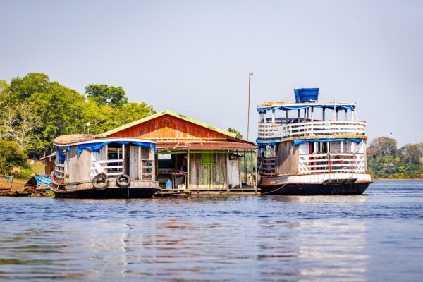 Historyczna susza w Amazonii: wysychają rzeki, giną delfiny, ustała żegluga
