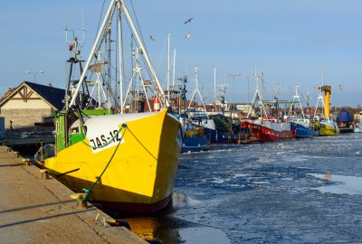 MRiRW: na posiedzeniu AGRIFISH uzgodniono wspólne stanowisko ws. kwot połowowych w 2024...