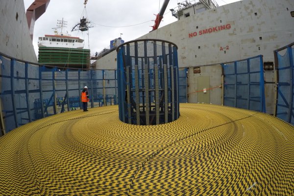 Estońskie służby: za zniszczenie podmorskiego kabla łączącego Szwecję z Estonią odpowia...