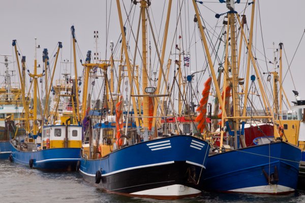 Holandia: rybacy dostaną jednorazowo 30 tys. euro