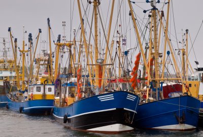 Holandia: rybacy dostaną jednorazowo 30 tys. euro