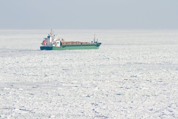 Estonia: jedna czwarta powierzchni Bałtyku skuta lodem