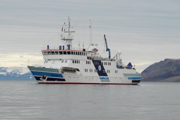 Ostateczne wyniki na statkach - Trzaskowski, Bosak, Hołownia. Duda czwarty