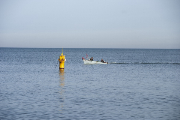 Przybrzeżna łódź rybacka do 12 metrów, chyba że państwo członkowskie zadecyduje inaczej...