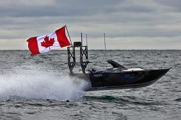 ''Rekin Młot'' z wód Zatoki Gdańskiej