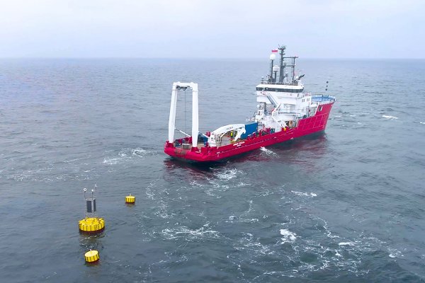 ORLEN Neptun prowadzi badania środowiska morskiego dla projektu Baltic W...