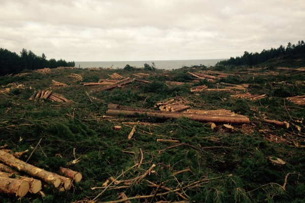 Gróbarczyk ws. przekopu Mierzei Wiślanej: wierzę, że KE podejdzie do tego w sposób mery...