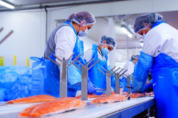 Morpol SA zmienia nazwę na Mowi Poland SA