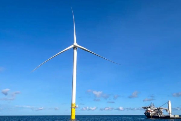 Władze USA wstrzymały budowę farmy wiatrowej przez duński Ørsted