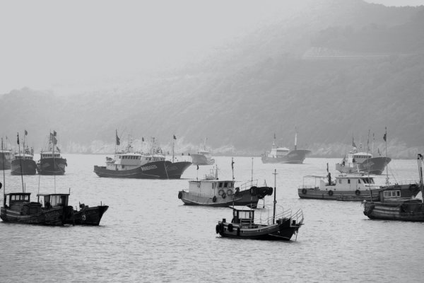 Korea Płn. zapewnia, że wyda ciało południowokoreańskiego urzędnika