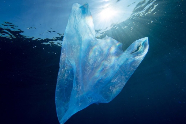 Komisja PE za zakazem dla niektórych plastików w ramach ratunku dla oceanów