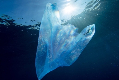 Komisja PE za zakazem dla niektórych plastików w ramach ratunku dla ocea...