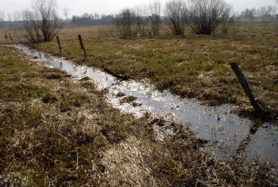 MGMiŻŚ chce, by melioracja przeszła pod zarząd Wód Polskich