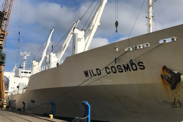 Z Gdyni wyruszył transport mrożonego drobiu i wieprzowiny. Największy w historii spółki...