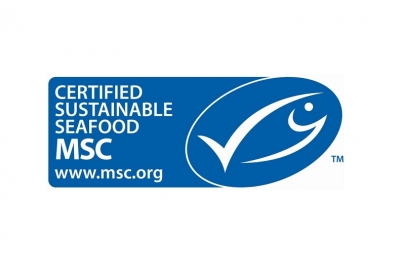 Zapisy na bezpłatne warsztaty z certyfikacji produktów rybnych