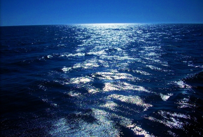 Chroń morze – Konsultacje Krajowego Programu Ochrony Wód Morskich