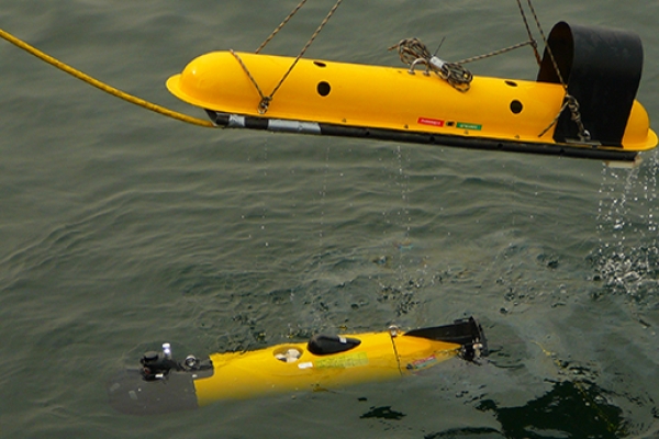 Podwodny pogromca min nagrodzony