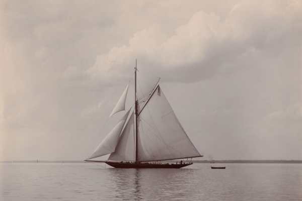 Wystawa 
