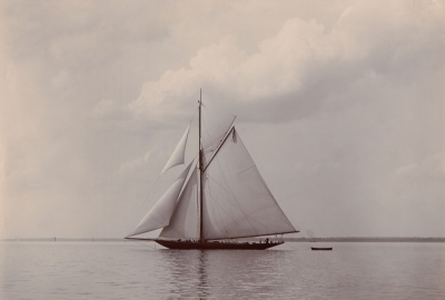 Wystawa 