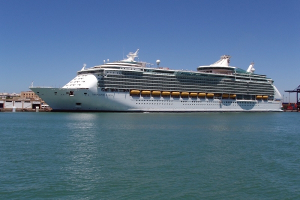 Mężczyzna wypadł za burtę wycieczkowca Navigator of the Seas