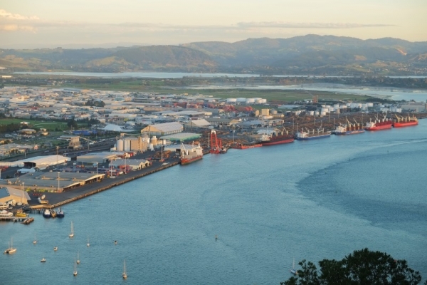 W nowozelandzkim porcie za burtę masowca wypadł człowiek