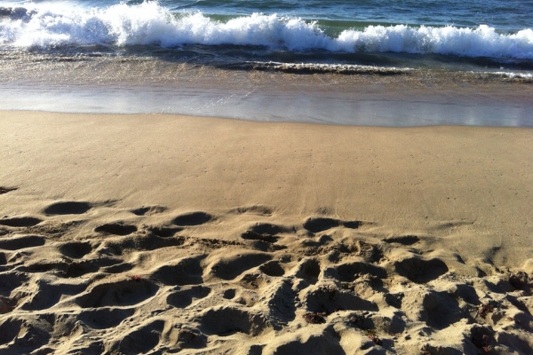 Żołnierze pomogą wydobyć wrak zabytkowej łodzi