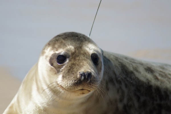 Informacja na temat dofinansowania projektu 