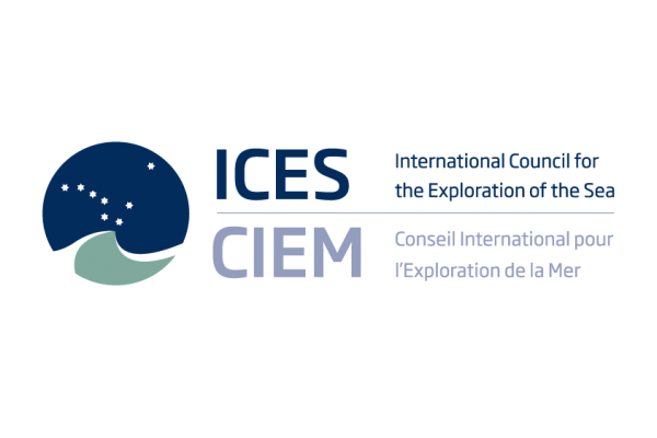 Dr Piotr Margoński Wiceprezydentem ICES