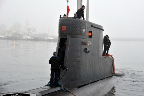 Sokół wyszedł na morze