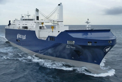 Nowy regularny serwis ro-ro w gdańskim porcie