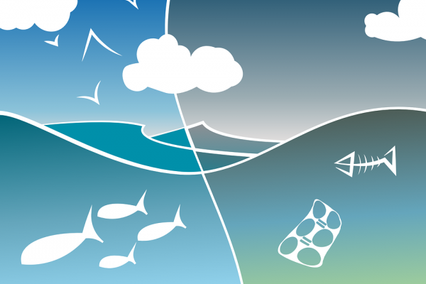 Fundacja MARE: w morzach i oceanach będzie więcej plastiku, niż ryb