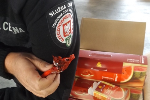 Rewizja kontenera: Tytoń zamiast melasy