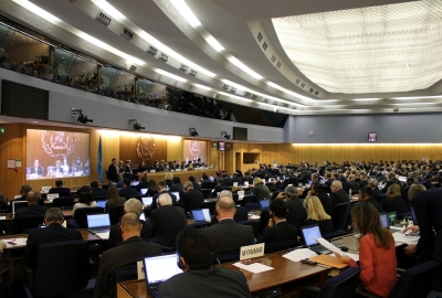 Akademia Morska w IMO