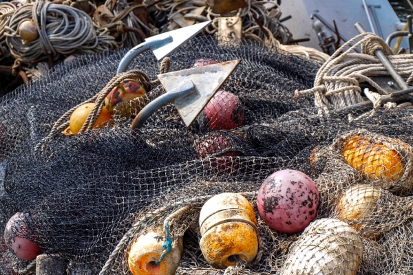 ARiMR: 5,7 mln zł na dopłaty do oprocentowania kredytów inwestycyjnych