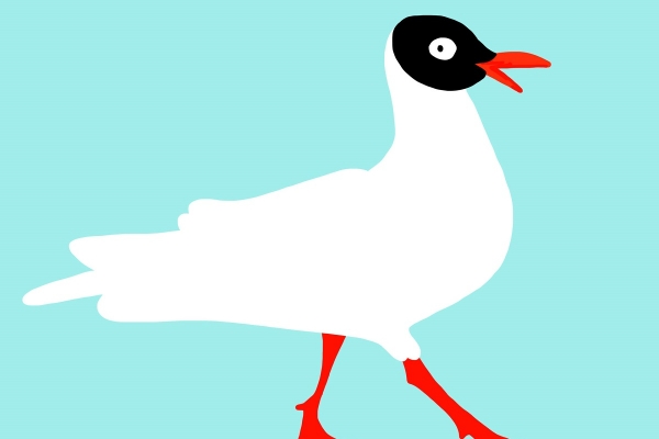 Balticarium - nowy projekt artystyczno-edukacyjny o morskich stworzeniach