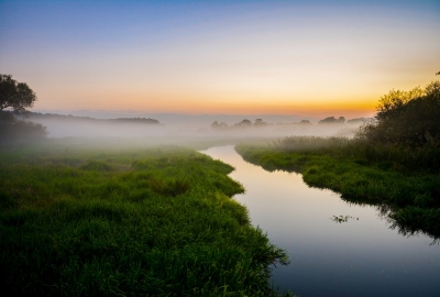 WWF: ponad połowa obszarów przyrodniczych w UE chroniona tylko na papierze
