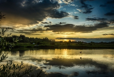 Eksperci WWF: regulacja Wisły jest nieekonomiczna i zagraża środowisku