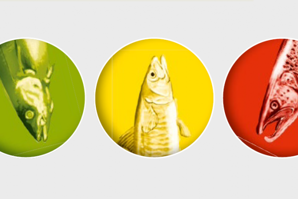 WWF: Dokonaj zielonego wyboru!