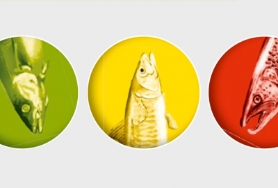 WWF: Dokonaj zielonego wyboru!