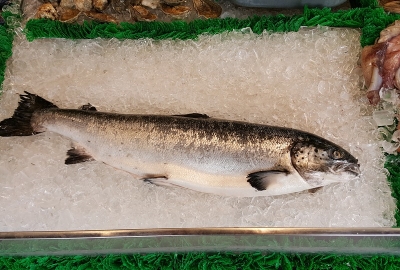 O potencjale polskiego przetwórstwa rybnego na Międzynarodowym Kongresie Morskim