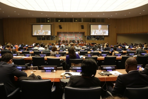 Na High Level Political Forum m.in. o ochronie oceanów