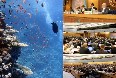 Posiedzenie Komitetu Ochrony Środowiska Morskiego Międzynarodowej Organizacji Morskiej...