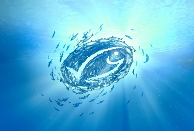 Fot.: Western Australian Fishing Industry Council MSC dodatkowo wzmacnia niezależną, ekspercką recenzję oceny rybołówstwa