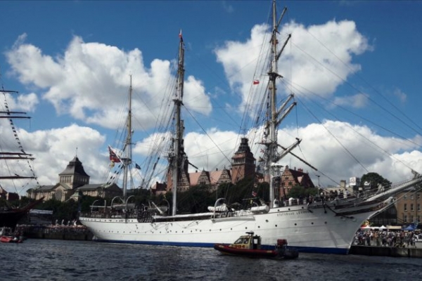 Wielkie żaglowce i ryby