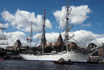 Wielkie żaglowce i ryby