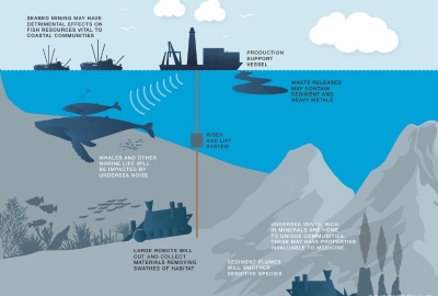 Według opinii IGO i Fundacji MARE górnictwo głębinowe to ryzyko, którego...