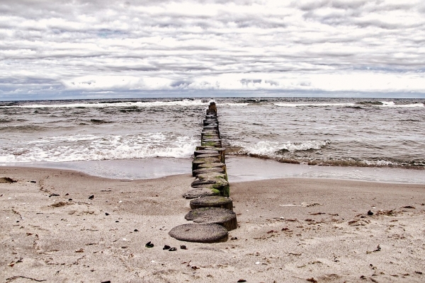  WWF Polska i Centrum Doradztwa Rolniczego razem dla ochrony Morza Bałtyckiego