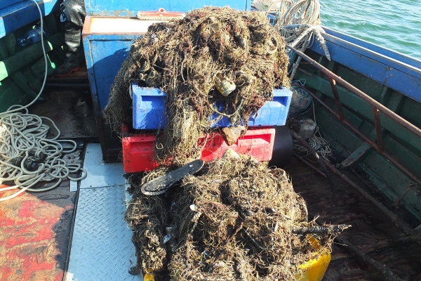 Gubione przez rybaków sieci widma zagrożeniem dla ekosystemu Bałtyku