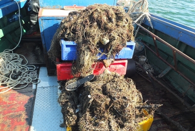Gubione przez rybaków sieci widma zagrożeniem dla ekosystemu Bałtyku